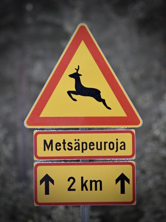 Varoitusmerkki, metsäpeuroja