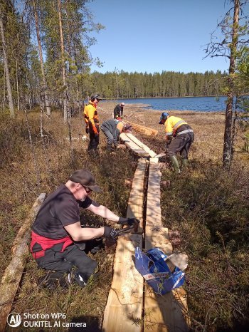 Laahtasen pitkospuita naulataan talkoilla