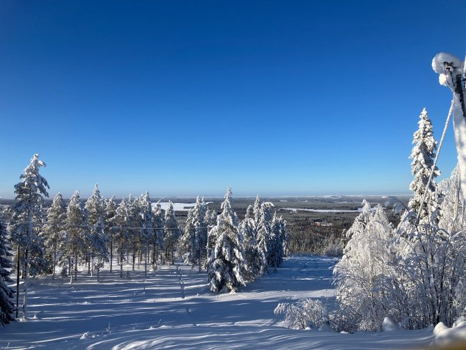 Saukkovaara helmikuisena pakkaspäivänä