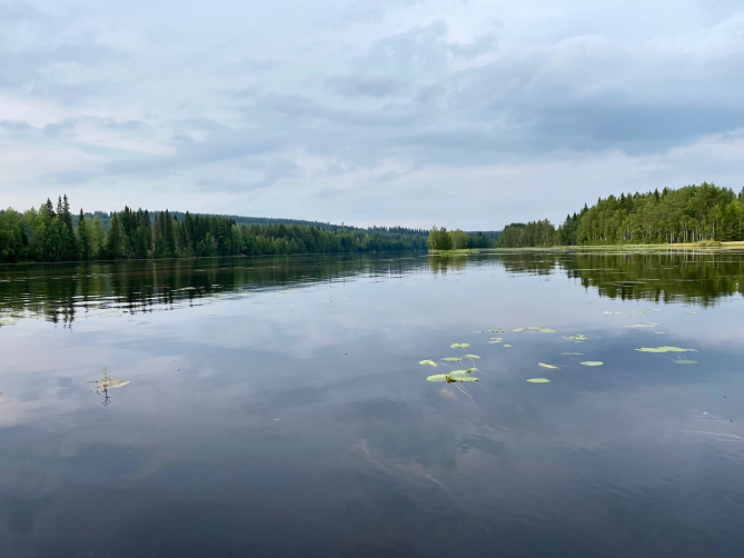 Kuva: Maritta Karjalainen.