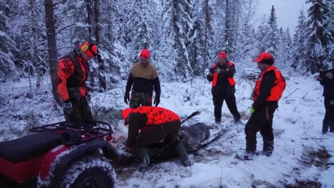 Hirvenmehtuuta Pyhännänkylällä. Kuva: Salla Heikkinen.