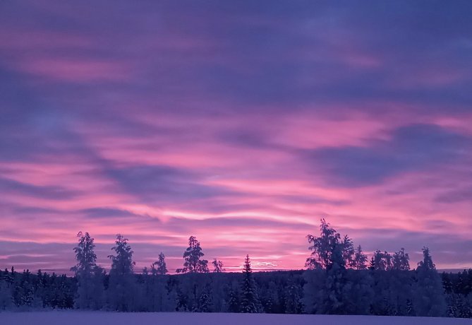 Aamunkajoa Pyhännänkylässä joulukuussa 2021. Kuva: Salla Heikkinen.