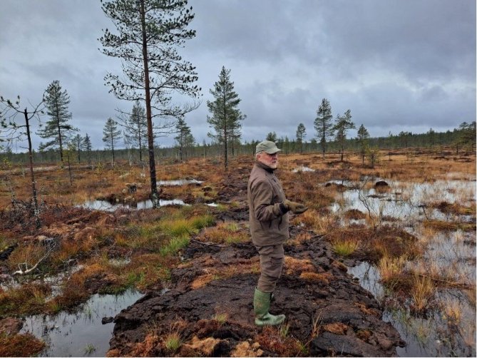 Peitetty oja Liejusuolla