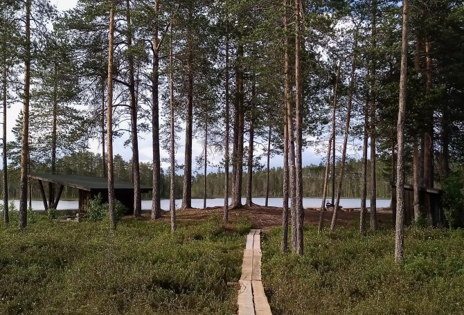 Pitkospuut, jotka vievät Iltarusko-nimiselle levähdyspaikalle