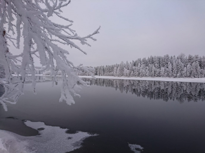 Kuva: Eija Kurkinen-Kauppila.