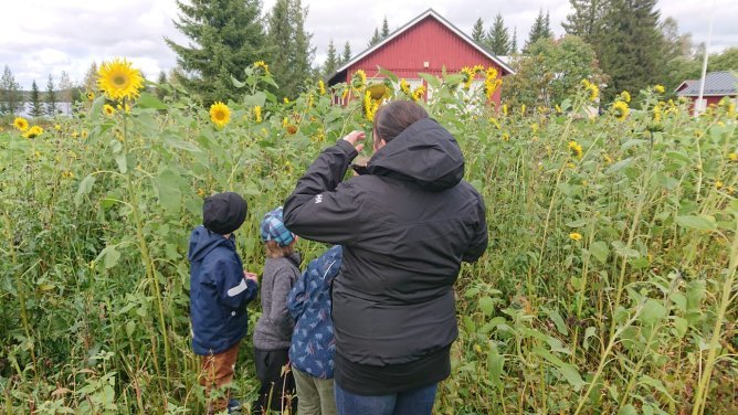 Kuva saatu Arto Koivukankaalta.