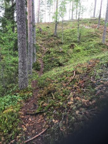 Vaellusreitin polut ovat kapeita - tässä kangaspolku