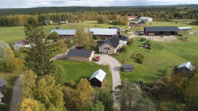 Hiisijärven taloja lähikuvassa vaikkakin dronella kuvattuina. Kuva: Eero Pykkönen.