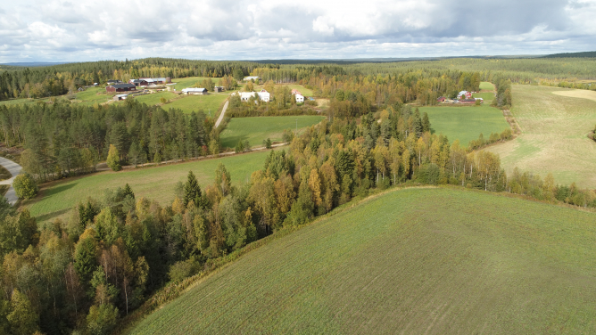 Hiisijärven taloja ja peltoja Eero Pykkösen dronella kuvaamina