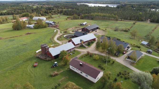 Hiisijärven taloja Eero Pyykkösen dronella kuvaamina. Traktorikin näkyy kuvassa.