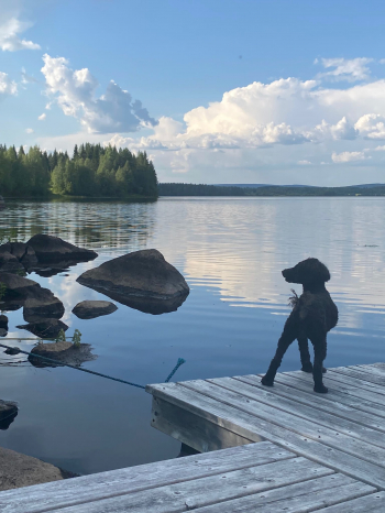 Kuva: Maritta Karjalainen.