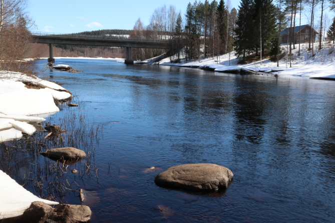 Kuva: Maritta Karjalainen.