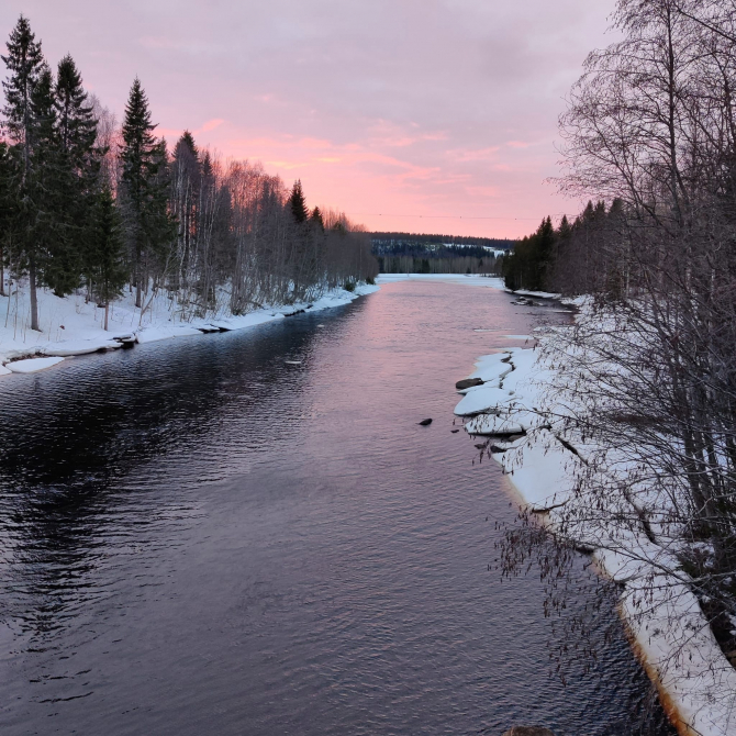 Kuva: Eija Kurkinen-Kauppila.