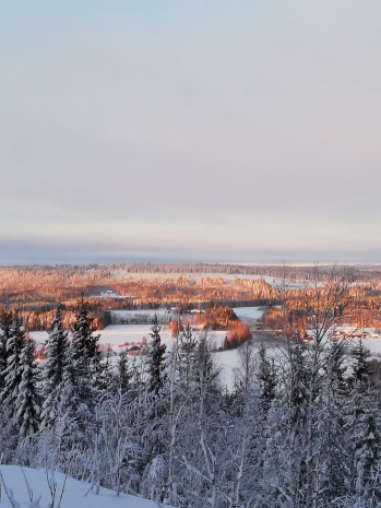 Kuva: Eija Kurkinen-Kauppila.