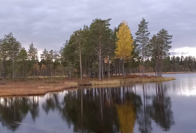 Kuva: Salla Heikkinen.