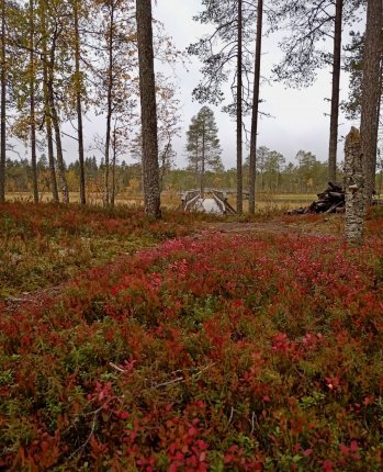 Kuva: Salla Heikkinen.