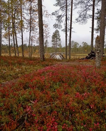 Kuva: Salla Heikkinen.