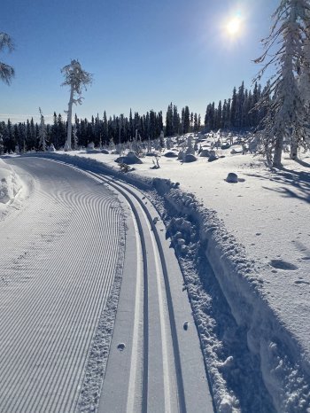 Ristijärven hiihtolatuja