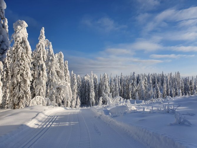 Näkymä Ristijärven laduilta