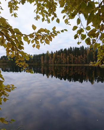 Kuva: Eija Kurkinen-Kauppila.