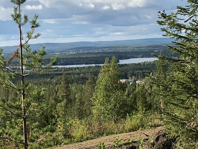 Saukkovaaralla saa maastopyöräilijä palkinnoksi kainuulaisen vaaramaiseman.